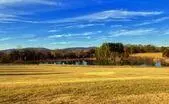 Land in Albemarle over 40 Acres