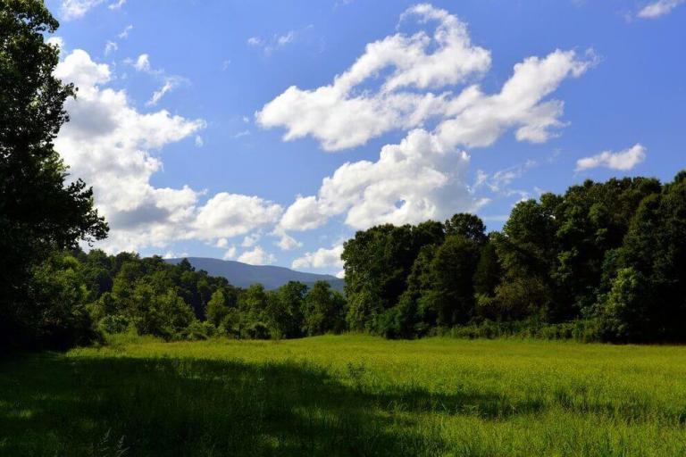 Indian Creek Estate Potential Vineyard Virginia Estates