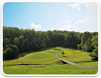 Golf Land in Virginia over $200K