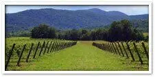 Loudoun Wine Trail