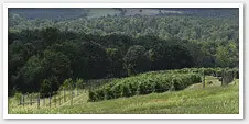 North Carolina Wine Trails