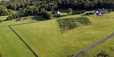 Virginia Vineyard and Farm