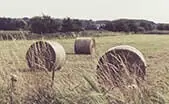 Charlottesville Farm Land