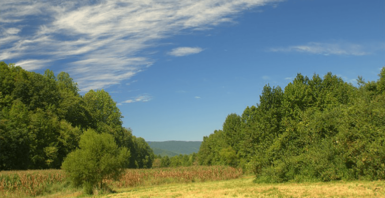 Archer Mountain Hunting Club
