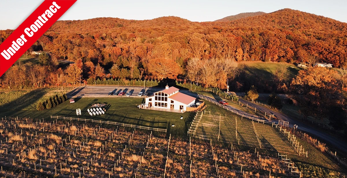 Idyllic Wedding / Event / Vineyard venue in the Heart of Shenandoah