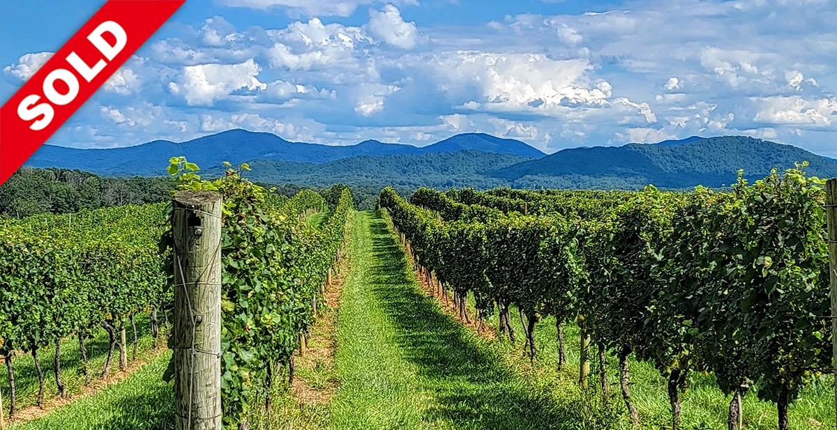 Afton Mountain Vineyards