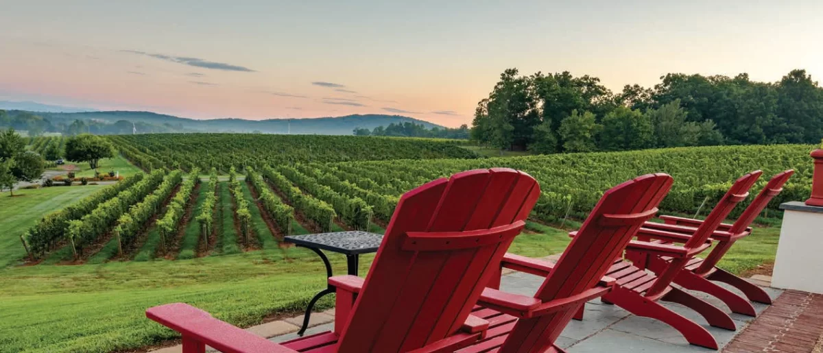 Charlottesville Area Named Wine Region of The Year!