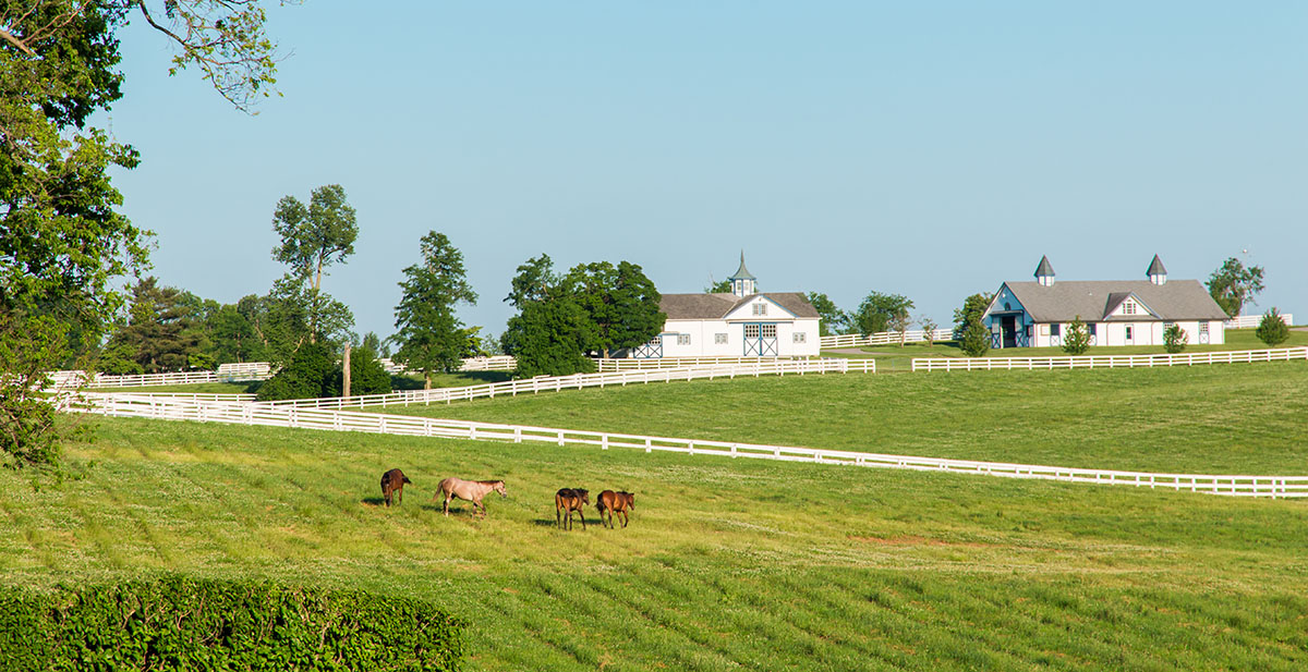 Thriving 50-acre Virginia Equestr...