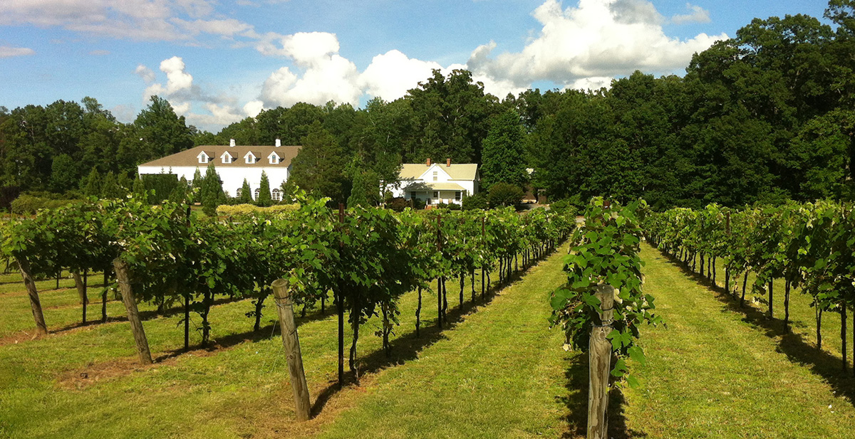Stonefield Cellars Winery