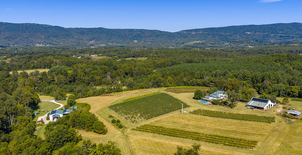 Cardinal Point Winery