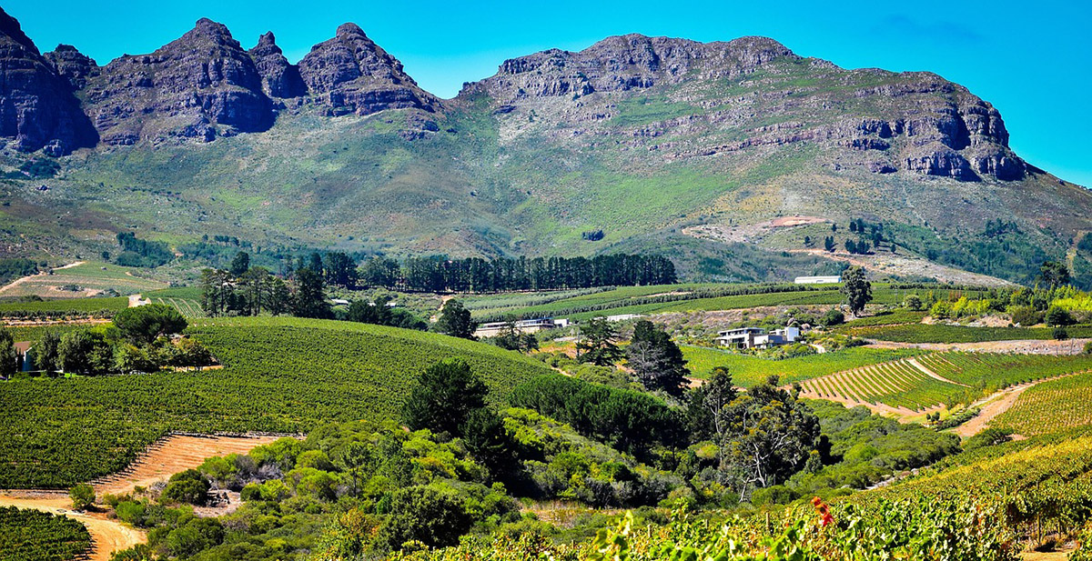 North Carolina Mountain Vineyard ...