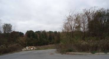 tbd Lot 4 PRATTS RUN LN, WAYNESBORO, Virginia 22980, ,Land,tbd Lot 4 PRATTS RUN LN,569204 MLS # 569204