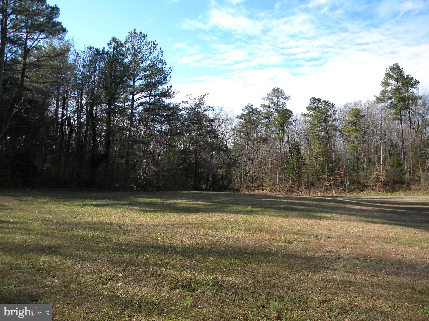 W BROADDUS AVE, BOWLING GREEN, Virginia 22427, ,Land,For sale,W BROADDUS AVE,VACV123476 MLS # VACV123476