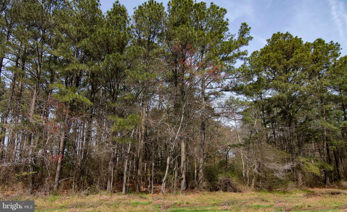 LOT 862 BROADSIDE DRIVE, GREENBACKVILLE, Virginia 23356, ,Land,For sale,LOT 862 BROADSIDE DRIVE,VAAC100602 MLS # VAAC100602