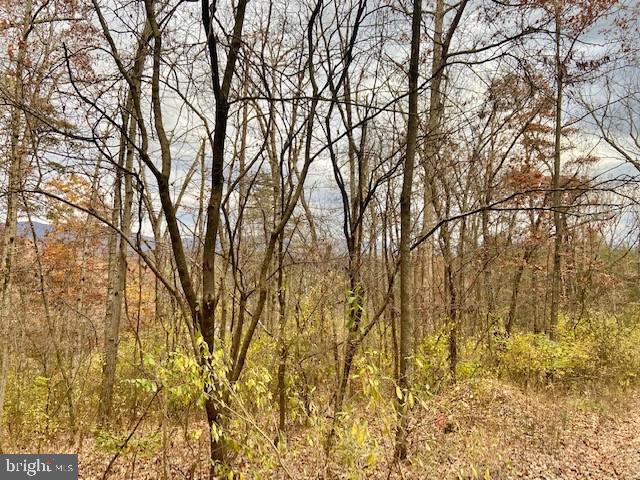 PAGE VALLEY ROAD, LURAY, Virginia 22835, ,Land,For sale,PAGE VALLEY ROAD,VAPA2000458 MLS # VAPA2000458