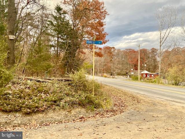 PAGE VALLEY ROAD, LURAY, Virginia 22835, ,Land,For sale,PAGE VALLEY ROAD,VAPA2000458 MLS # VAPA2000458