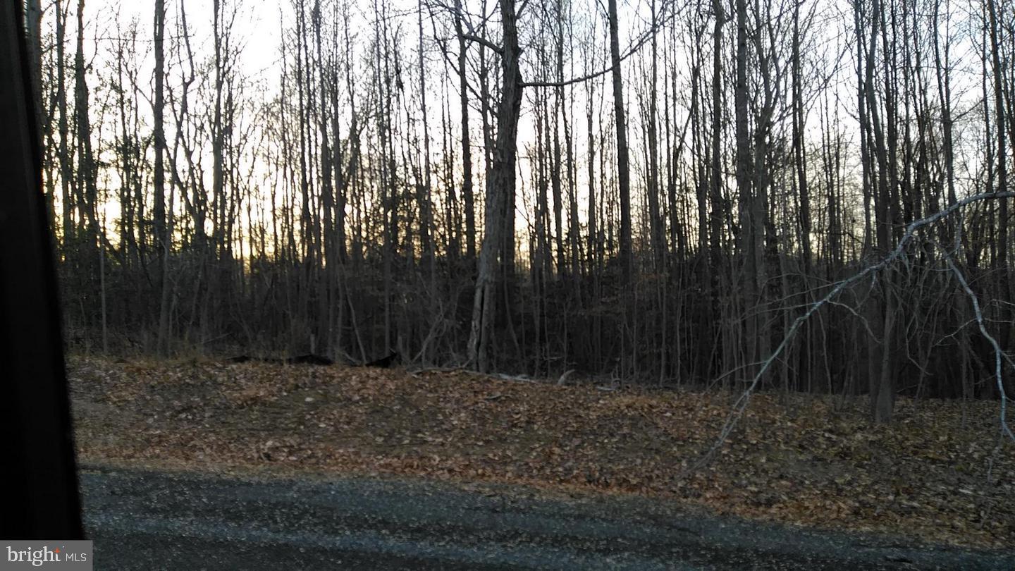 LOT 25 COMPASS CT, KING GEORGE, Virginia 22485, ,Land,For sale,LOT 25 COMPASS CT,VAKG2001820 MLS # VAKG2001820