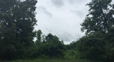 VIRGINIA AVE, MINERAL, Virginia 23117, ,Land,For sale,VIRGINIA AVE,632573 MLS # 632573
