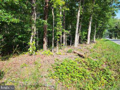 0 WHIPPOORWILL DR, X 4 AND CHICKADEE CT X 4, BARBOURSVILLE, Virginia 22923, ,Farm,For sale,0 WHIPPOORWILL DR, X 4 AND CHICKADEE CT X 4,VAOR2003182 MLS # VAOR2003182
