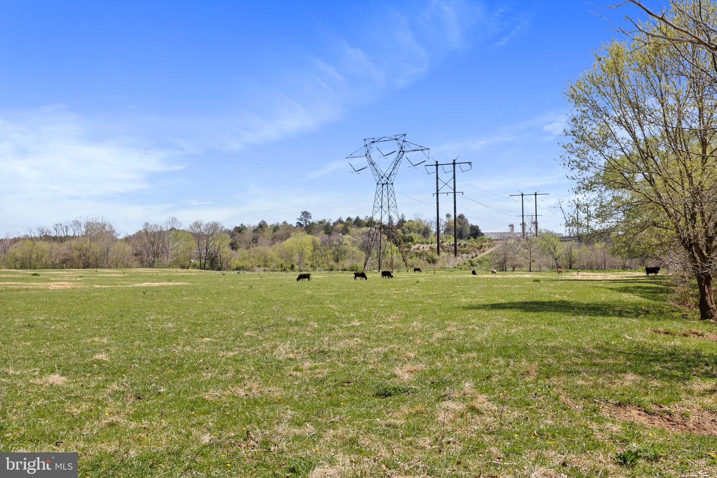WINCHESTER RD, FRONT ROYAL, Virginia 22630, ,Farm,For sale,WINCHESTER RD,VAWR2005476 MLS # VAWR2005476
