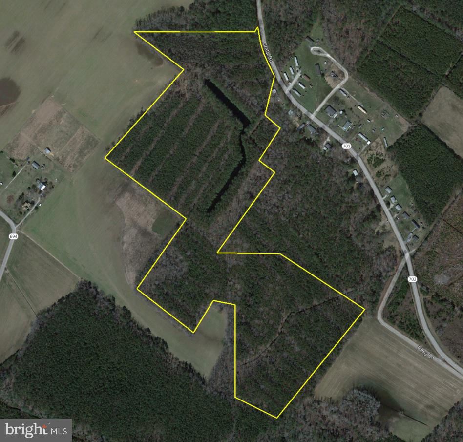 0 GRETA #PARCEL #2, TEMPERANCEVILLE, Virginia 23442, ,Farm,For sale,0 GRETA #PARCEL #2,VAAC2000612 MLS # VAAC2000612