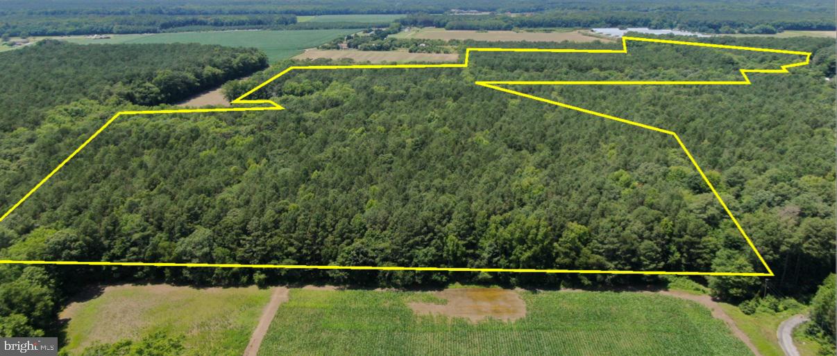 0 GRETA #PARCEL #2, TEMPERANCEVILLE, Virginia 23442, ,Farm,For sale,0 GRETA #PARCEL #2,VAAC2000612 MLS # VAAC2000612