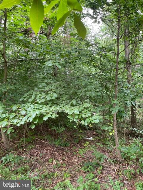 ASSIGNED ON REQUEST, FREDERICKSBURG, Virginia 22407, ,Land,For sale,ASSIGNED ON REQUEST,VASP2018210 MLS # VASP2018210