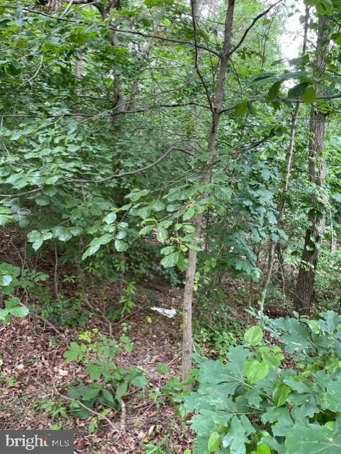 ASSIGNED ON REQUEST, FREDERICKSBURG, Virginia 22407, ,Land,For sale,ASSIGNED ON REQUEST,VASP2018210 MLS # VASP2018210