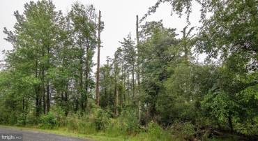 LOT 704 CASTAWAY DR, GREENBACKVILLE, Virginia 23356, ,Land,For sale,LOT 704 CASTAWAY DR,VAAC2000654 MLS # VAAC2000654