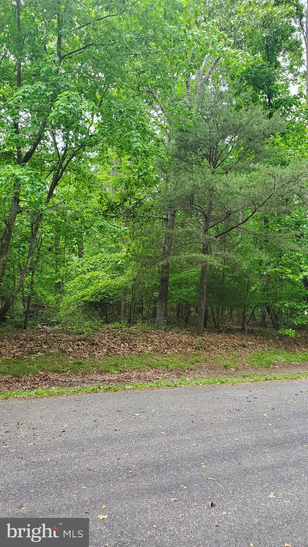 LOT 2471 BOUNTY CT, GREENBACKVILLE, Virginia 23356, 3 Bedrooms Bedrooms, ,2 BathroomsBathrooms,Residential,For sale,LOT 2471 BOUNTY CT,VAAC2000664 MLS # VAAC2000664