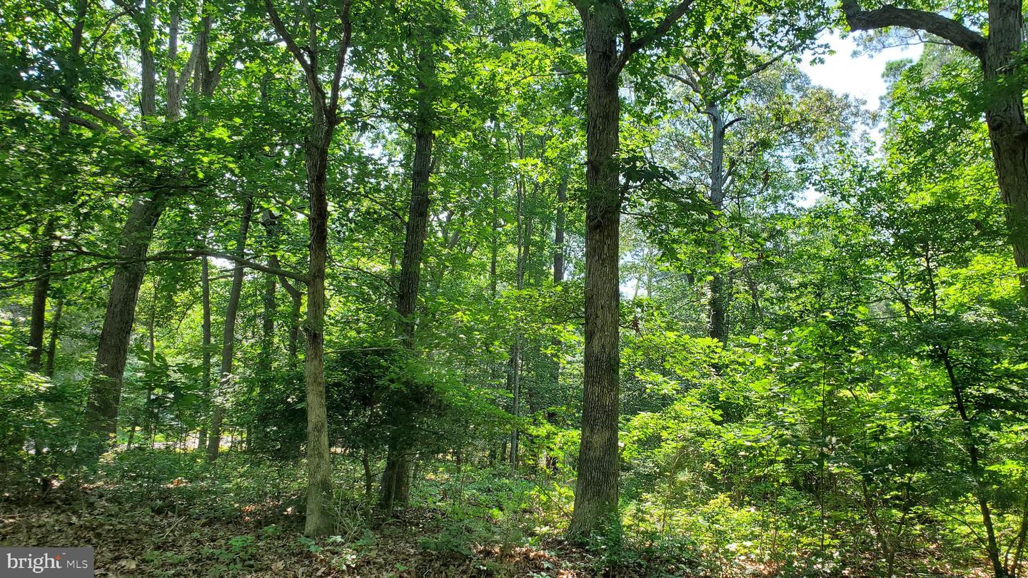 LOT 2471 BOUNTY CT, GREENBACKVILLE, Virginia 23356, 3 Bedrooms Bedrooms, ,2 BathroomsBathrooms,Residential,For sale,LOT 2471 BOUNTY CT,VAAC2000664 MLS # VAAC2000664