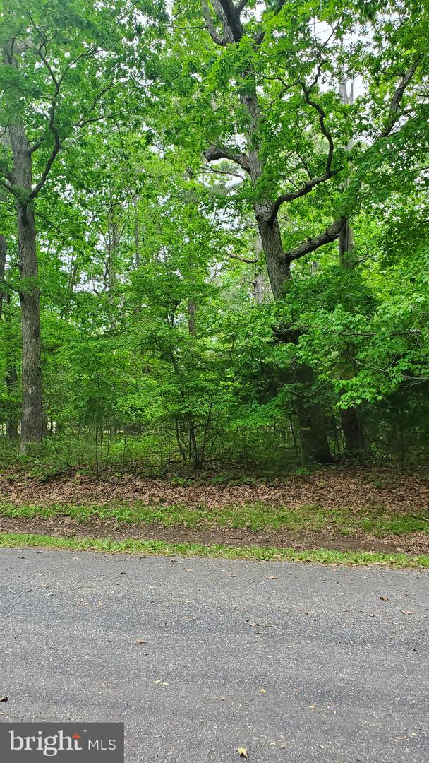 LOT 2471 BOUNTY CT, GREENBACKVILLE, Virginia 23356, 3 Bedrooms Bedrooms, ,2 BathroomsBathrooms,Residential,For sale,LOT 2471 BOUNTY CT,VAAC2000664 MLS # VAAC2000664