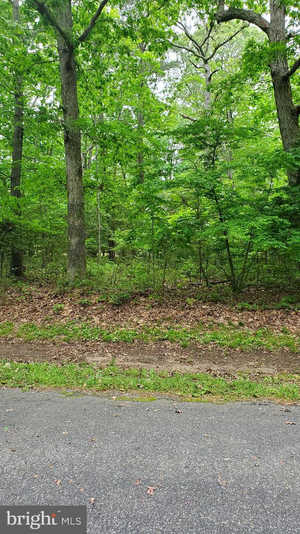 LOT 2471 BOUNTY CT, GREENBACKVILLE, Virginia 23356, 3 Bedrooms Bedrooms, ,2 BathroomsBathrooms,Residential,For sale,LOT 2471 BOUNTY CT,VAAC2000664 MLS # VAAC2000664