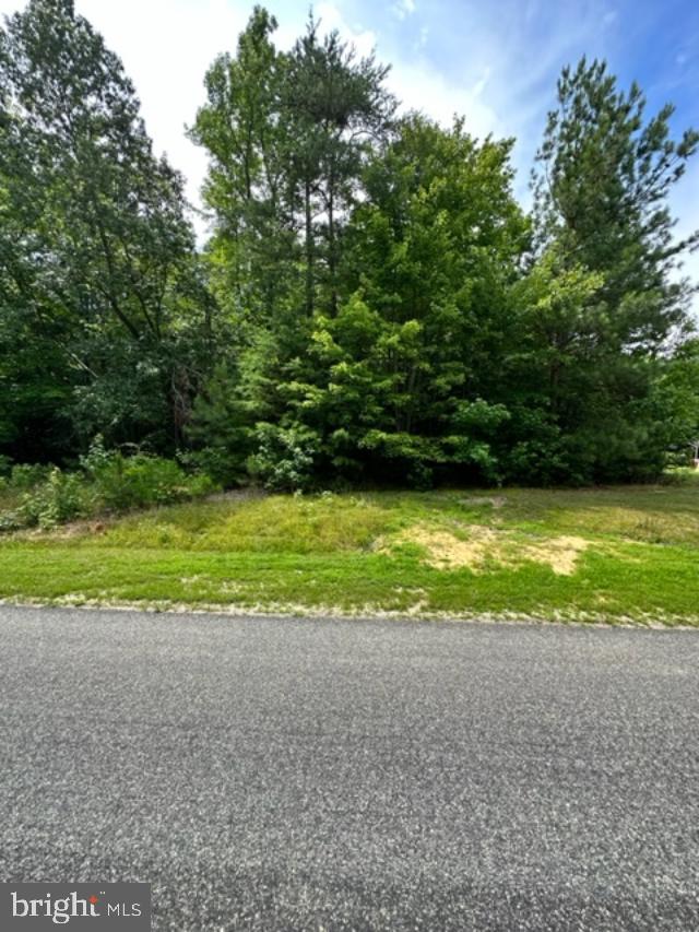 0 WOODBERRY DRIVE, MONTROSS, Virginia 22520, ,Land,For sale,0 WOODBERRY DRIVE,VAWE2004898 MLS # VAWE2004898