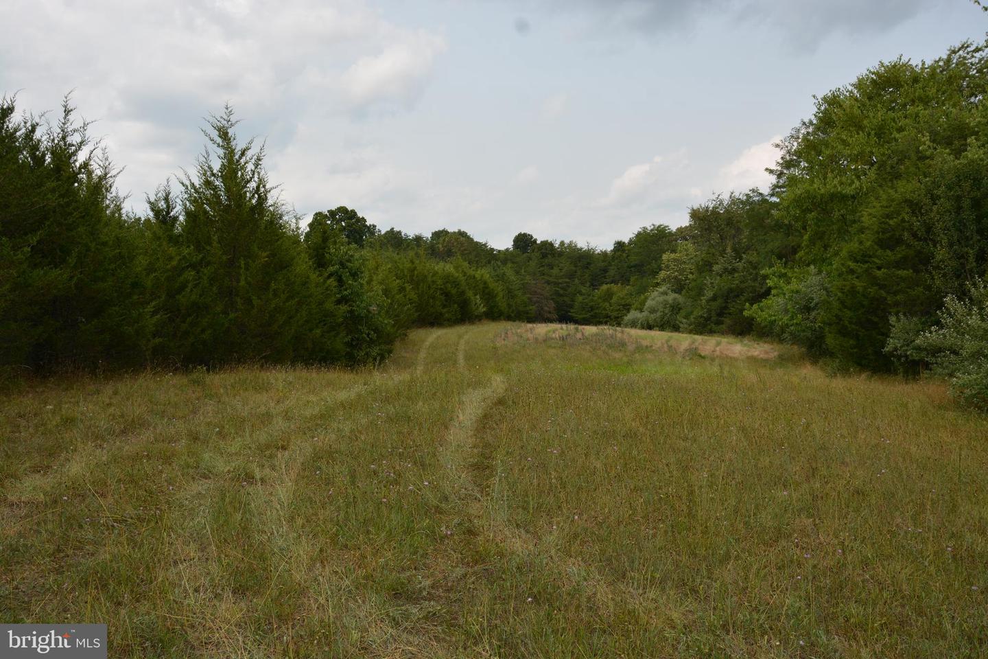 2700 FRONT ROYAL PIKE, STEPHENS CITY, Virginia 22655, ,Land,For sale,2700 FRONT ROYAL PIKE,VAFV2014416 MLS # VAFV2014416