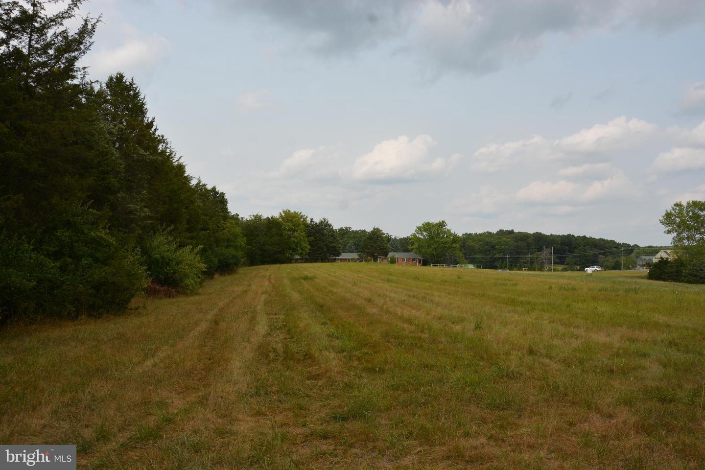 2700 FRONT ROYAL PIKE, STEPHENS CITY, Virginia 22655, ,Land,For sale,2700 FRONT ROYAL PIKE,VAFV2014416 MLS # VAFV2014416