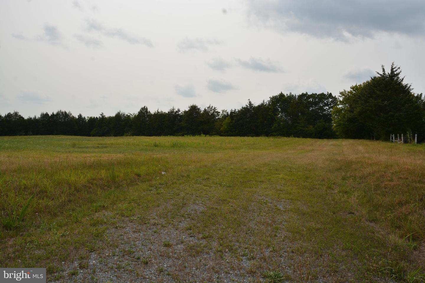 2700 FRONT ROYAL PIKE, STEPHENS CITY, Virginia 22655, ,Land,For sale,2700 FRONT ROYAL PIKE,VAFV2014416 MLS # VAFV2014416