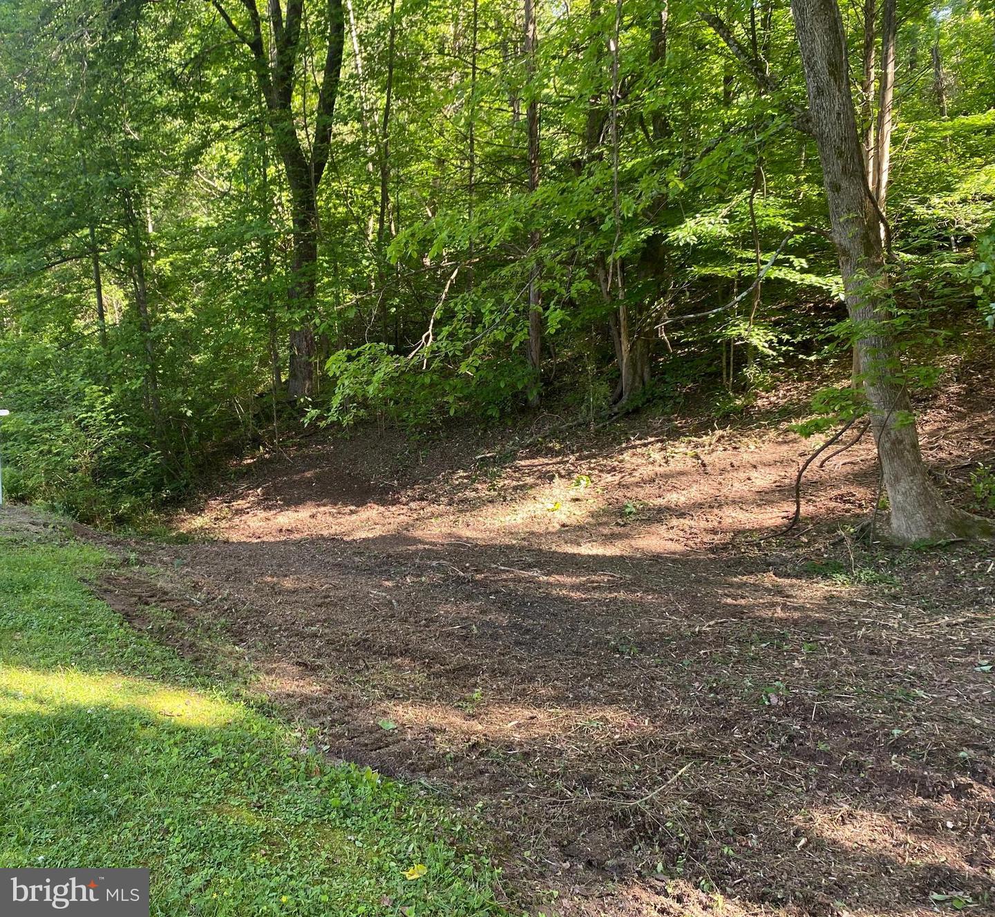 16016 CARRINGTON CT, MINERAL, Virginia 23117, ,Land,For sale,16016 CARRINGTON CT,VASP2019730 MLS # VASP2019730