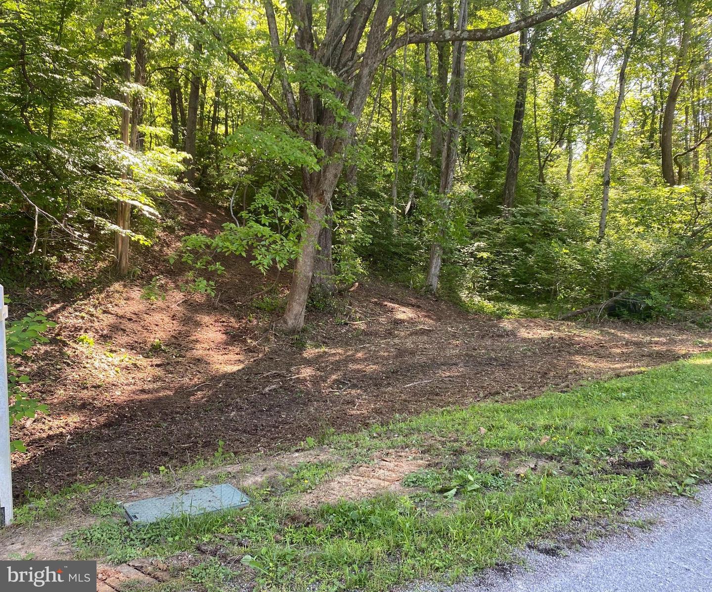 16016 CARRINGTON CT, MINERAL, Virginia 23117, ,Land,For sale,16016 CARRINGTON CT,VASP2019730 MLS # VASP2019730