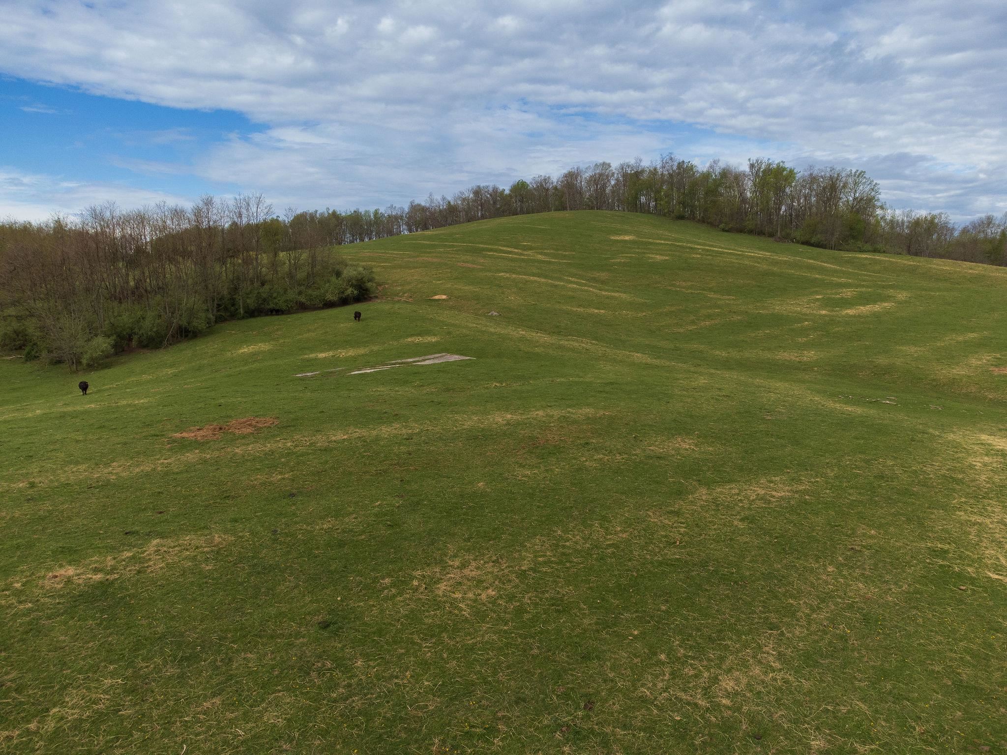TBD OLD B AND O RD, RAPHINE, Virginia 24472, ,Farm,Moore Hill Farm,TBD OLD B AND O RD,621502 MLS # 621502