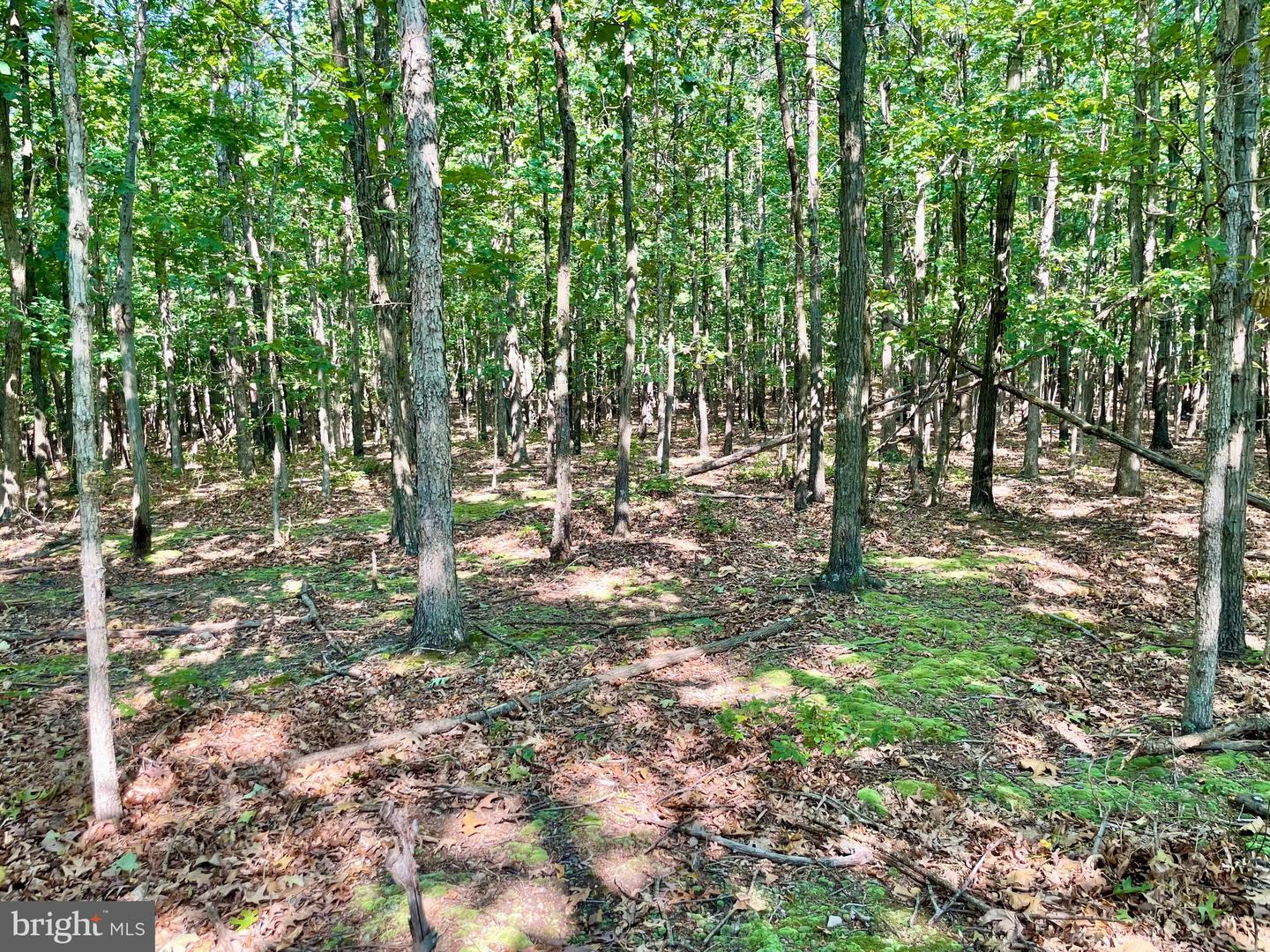 A-2A AND A-2B ZIMMERMANNS LANE, WINCHESTER, Virginia 22603, ,Land,For sale,A-2A AND A-2B ZIMMERMANNS LANE,VAFV2014644 MLS # VAFV2014644
