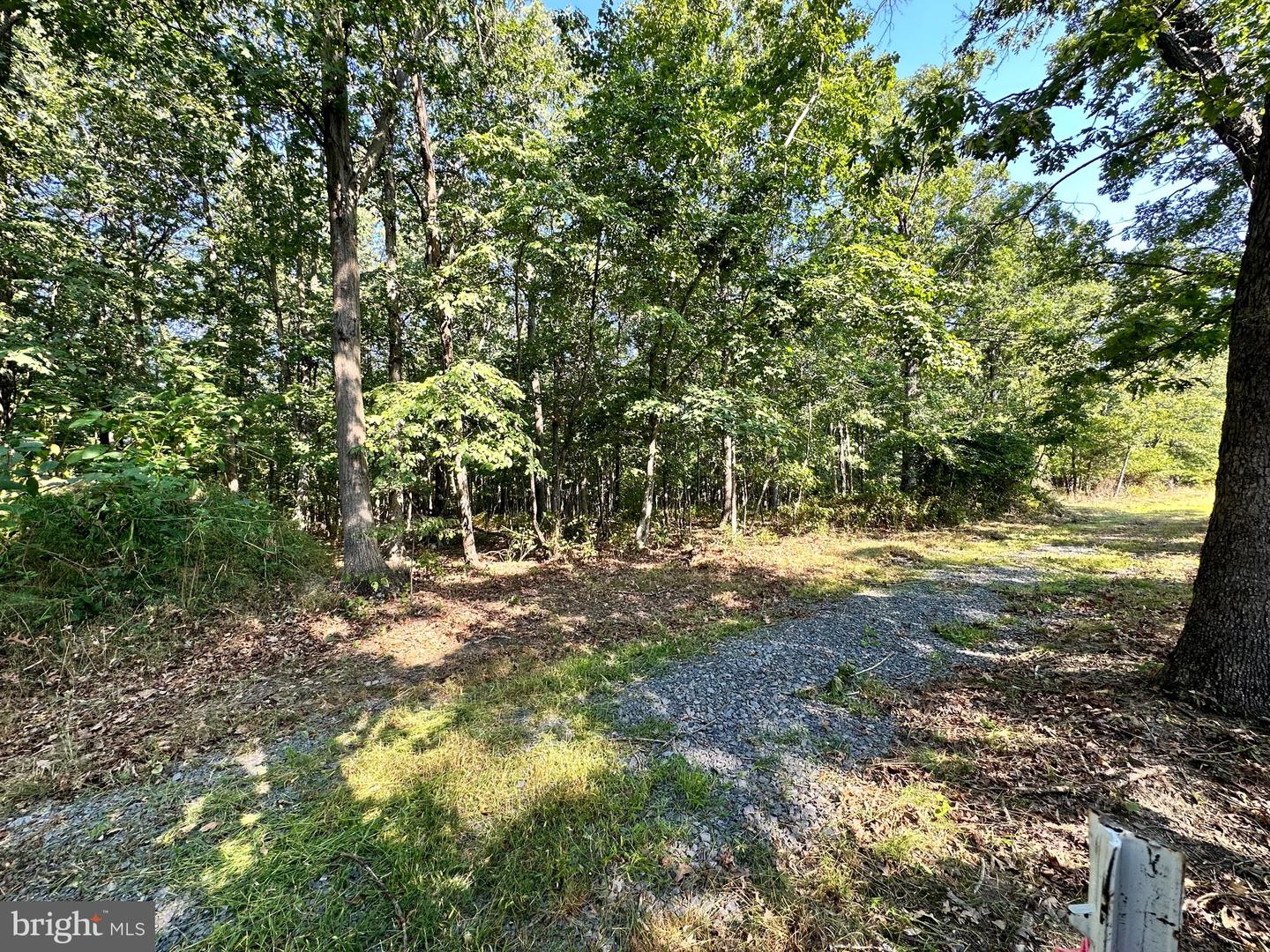 A-2A AND A-2B ZIMMERMANNS LANE, WINCHESTER, Virginia 22603, ,Land,For sale,A-2A AND A-2B ZIMMERMANNS LANE,VAFV2014644 MLS # VAFV2014644