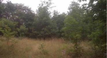 0 RETREAT LN, WINCHESTER, Virginia 22603, ,Land,For sale,0 RETREAT LN,VAFV155802 MLS # VAFV155802