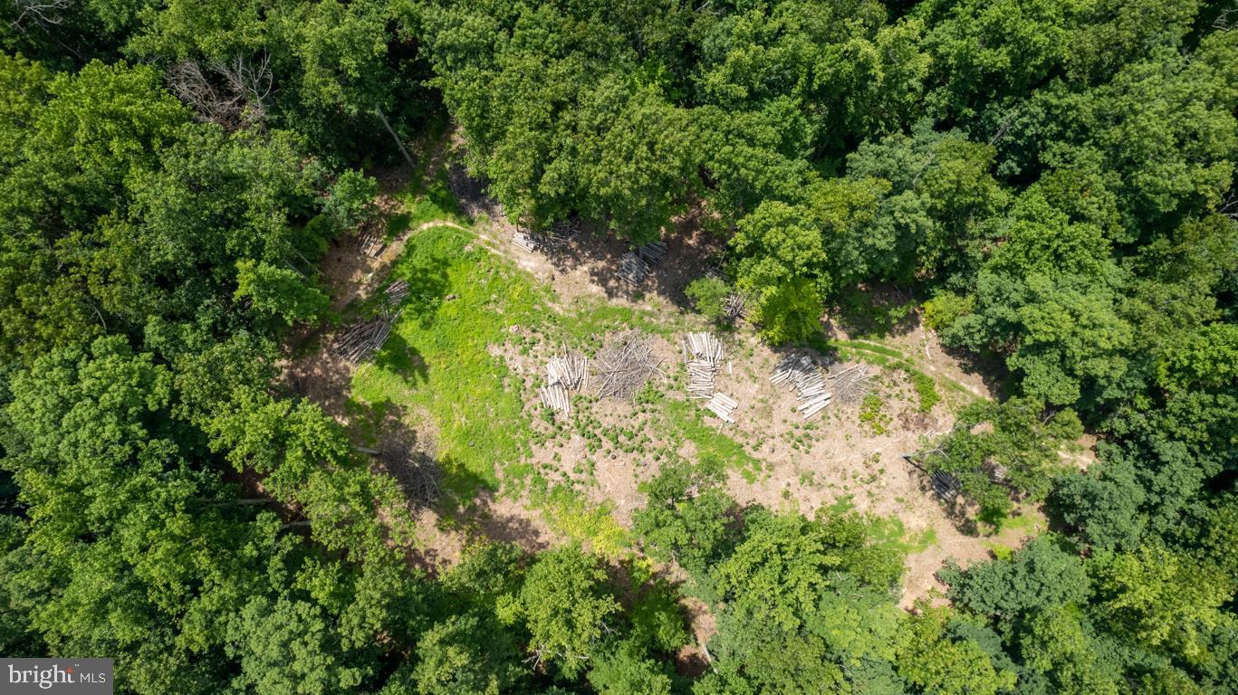 9001 FRENCH FORD DR, NOKESVILLE, Virginia 20181, ,Land,For sale,9001 FRENCH FORD DR,VAPW2055376 MLS # VAPW2055376