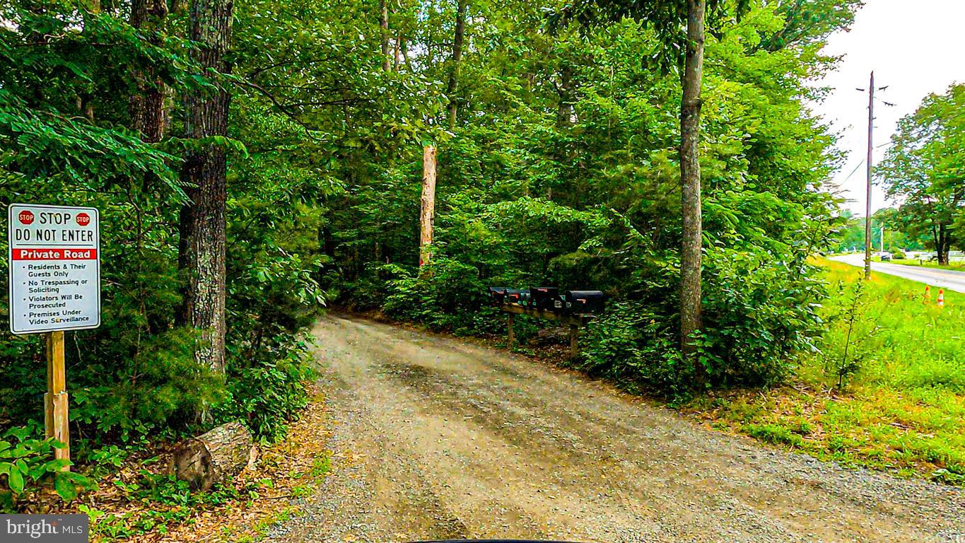 9001 FRENCH FORD DR, NOKESVILLE, Virginia 20181, ,Land,For sale,9001 FRENCH FORD DR,VAPW2055376 MLS # VAPW2055376