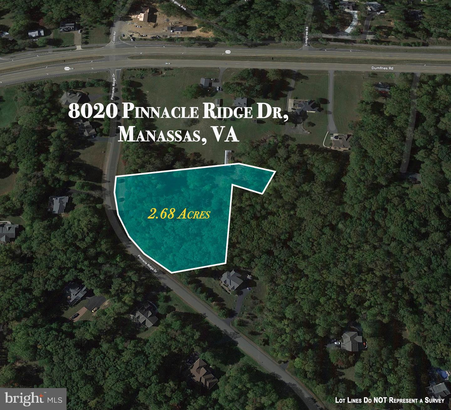 8020 PINNACLE RIDGE DR, MANASSAS, Virginia 20112, ,Land,For sale,8020 PINNACLE RIDGE DR,VAPW2051558 MLS # VAPW2051558