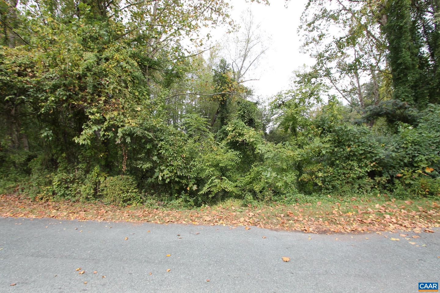 TBD MOUNTAIN VIEW DR, CHARLOTTESVILLE, Virginia 22903, ,Land,For sale,TBD MOUNTAIN VIEW DR,646500 MLS # 646500