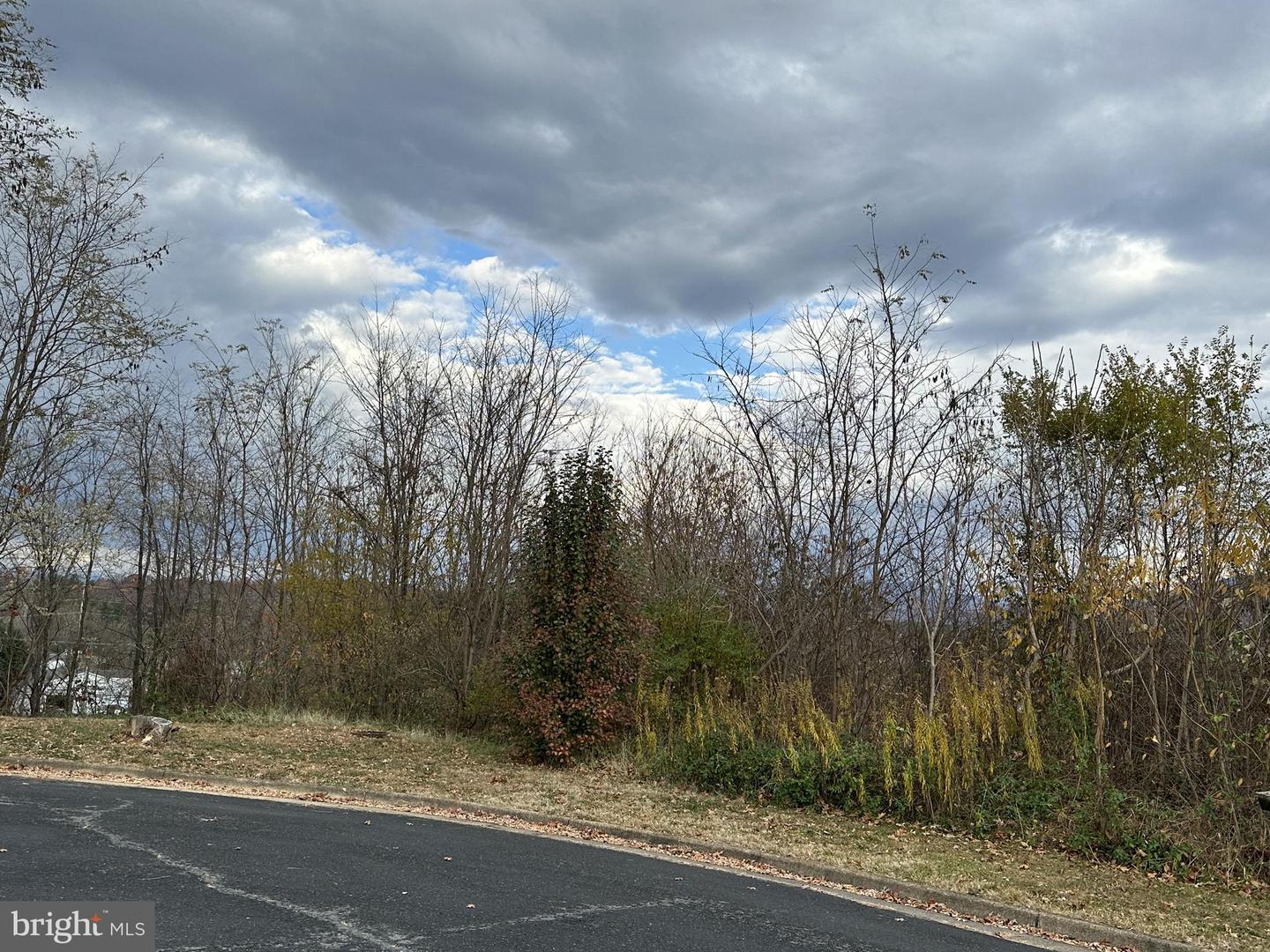 INDEPENDENCE DRIVE, LURAY, Virginia 22835, ,Land,For sale,INDEPENDENCE DRIVE,VAPA2002944 MLS # VAPA2002944