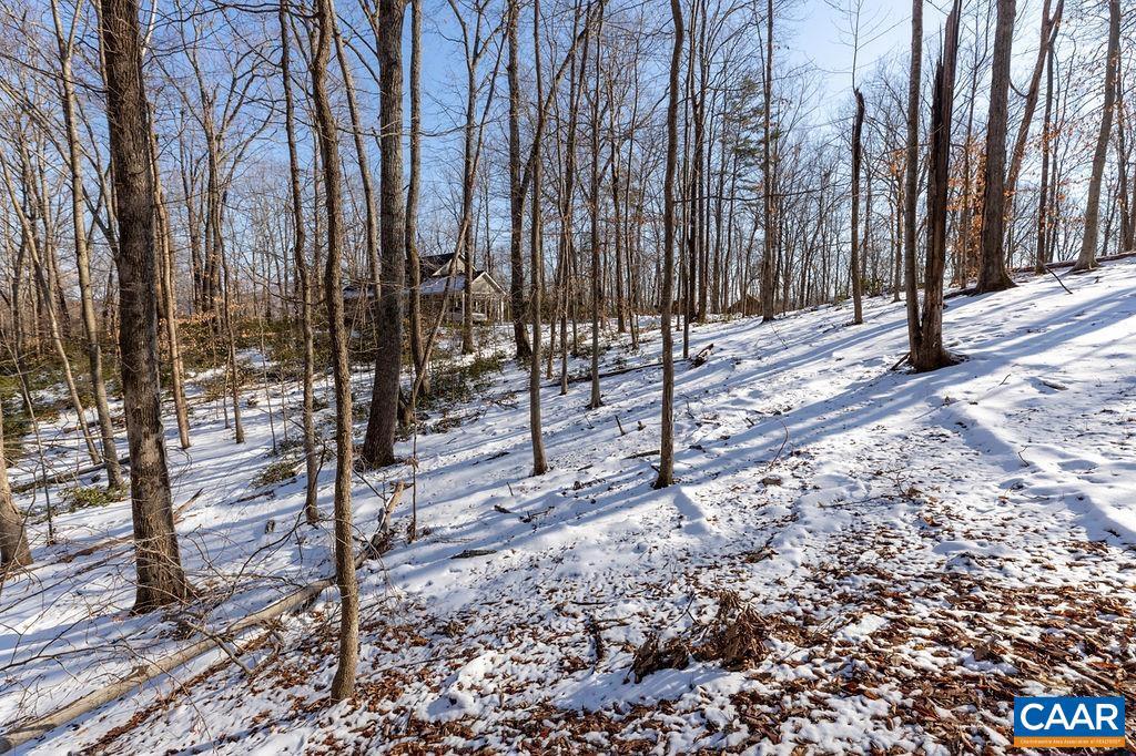 281 WOOD HOUSE LN, NELLYSFORD, Virginia 22958, ,Land,For sale,281 WOOD HOUSE LN,647763 MLS # 647763