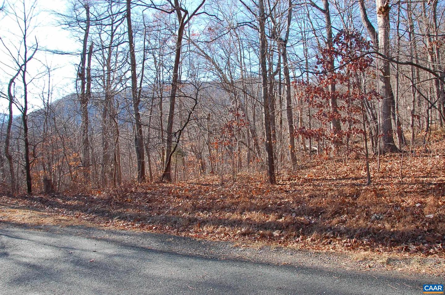 60 SCARLET TANAGER, NELLYSFORD, Virginia 22958, ,Land,For sale,60 SCARLET TANAGER,648064 MLS # 648064